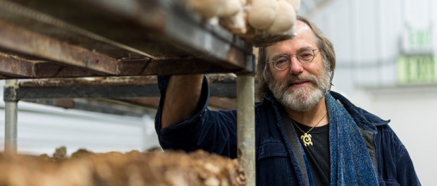 Paul Stamets Monsanto Paul Stamets Monsanto