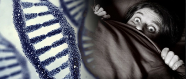 17564353_research-confirms-we-inherit-non-_f9d38ede_m