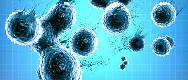 Cells-Attached-Synthetic-Chemicals