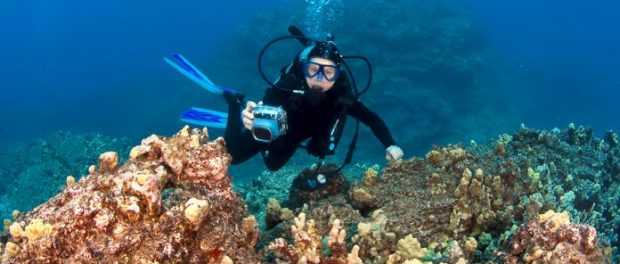 bigstock-Scuba-Diver-Taking-Pictures-On-62003456-696x464