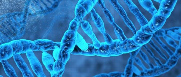 DNA-759x500