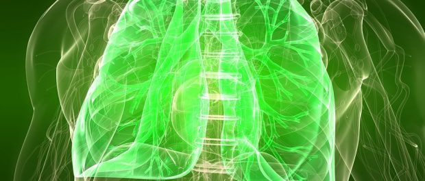 bigstock-healthy-lung-6989461