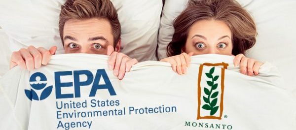 EPA-and-Monsanto-e1495467129893