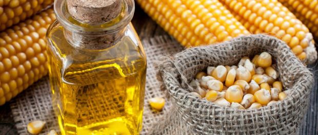 Corn-Oil-Meal-Popcorn-Rustic-Agriculture-Bio