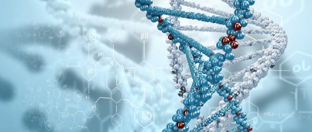 dna
