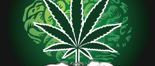 cannabis