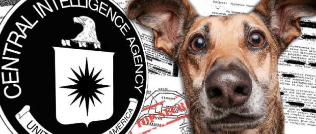 cia-remote-control-dogs-768x400