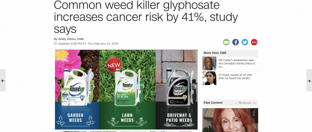 Screen-Shot-2019-02-14-at-4.04.57-PM-1