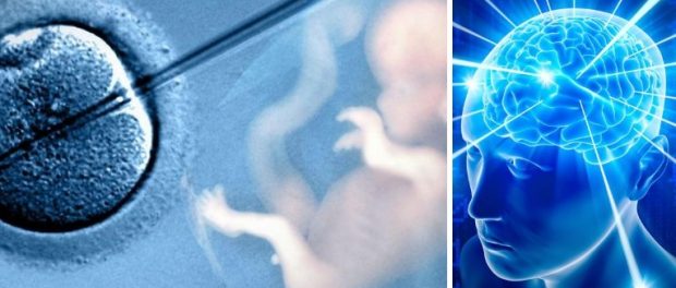 gene-edited-babies-intelligence