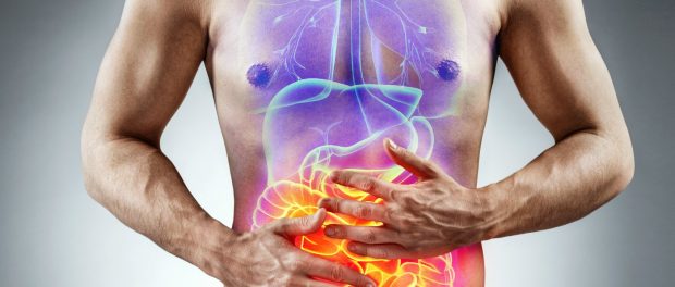 intestino-bacterias-corpo-humano-0618-1400x800-2