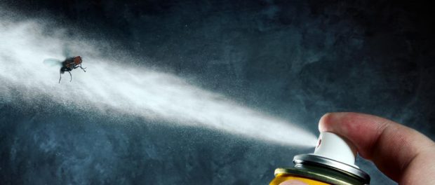 Spray-Bug-Insect-Kill-Aerosol-Insecticide-Housefly