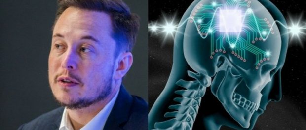 elon-musk-scientists-brain-probes-darpa