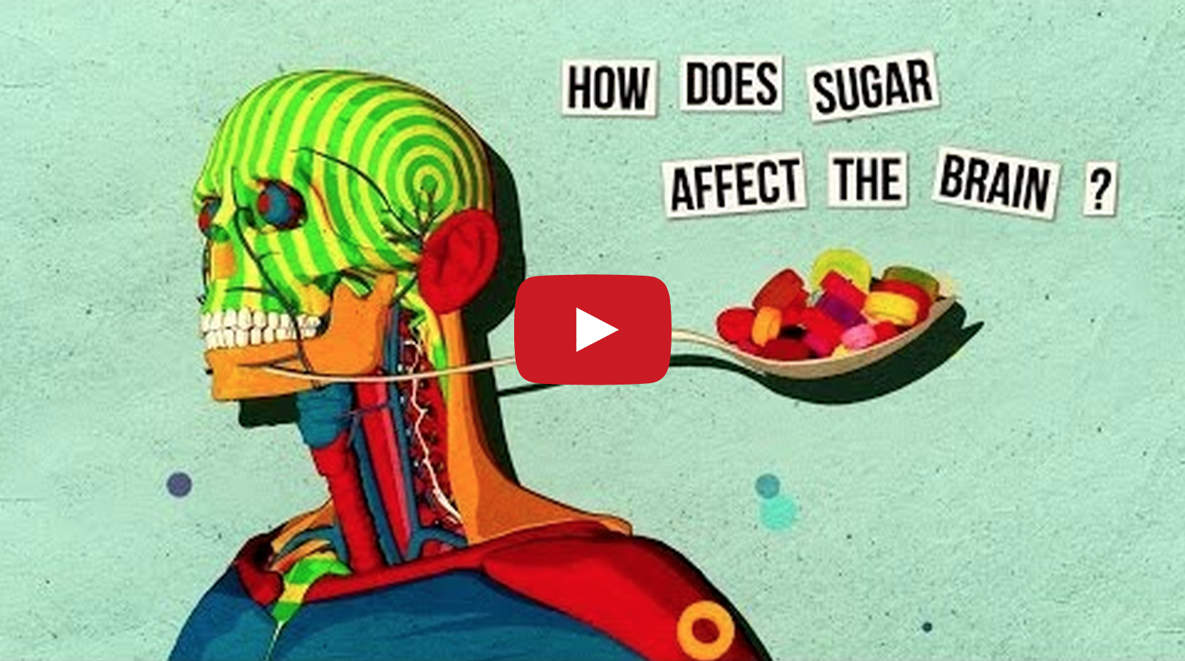 Sugar Effects The Brain