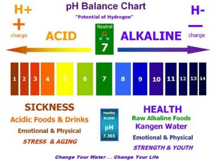 ph balanced diet