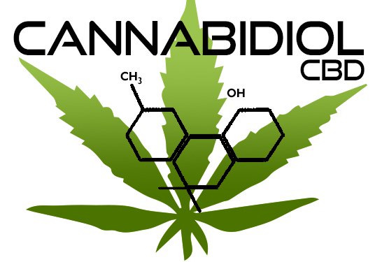 cbd oil