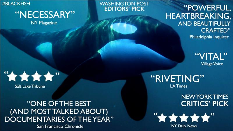 blackfish