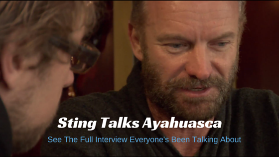 sting talks