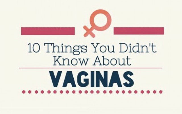 vagina