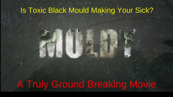 Mouldy Movie