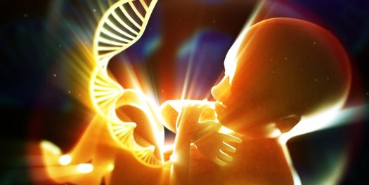 fetus vaccine