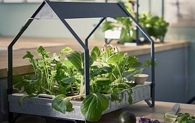 Ikea Indoor Food Growing System